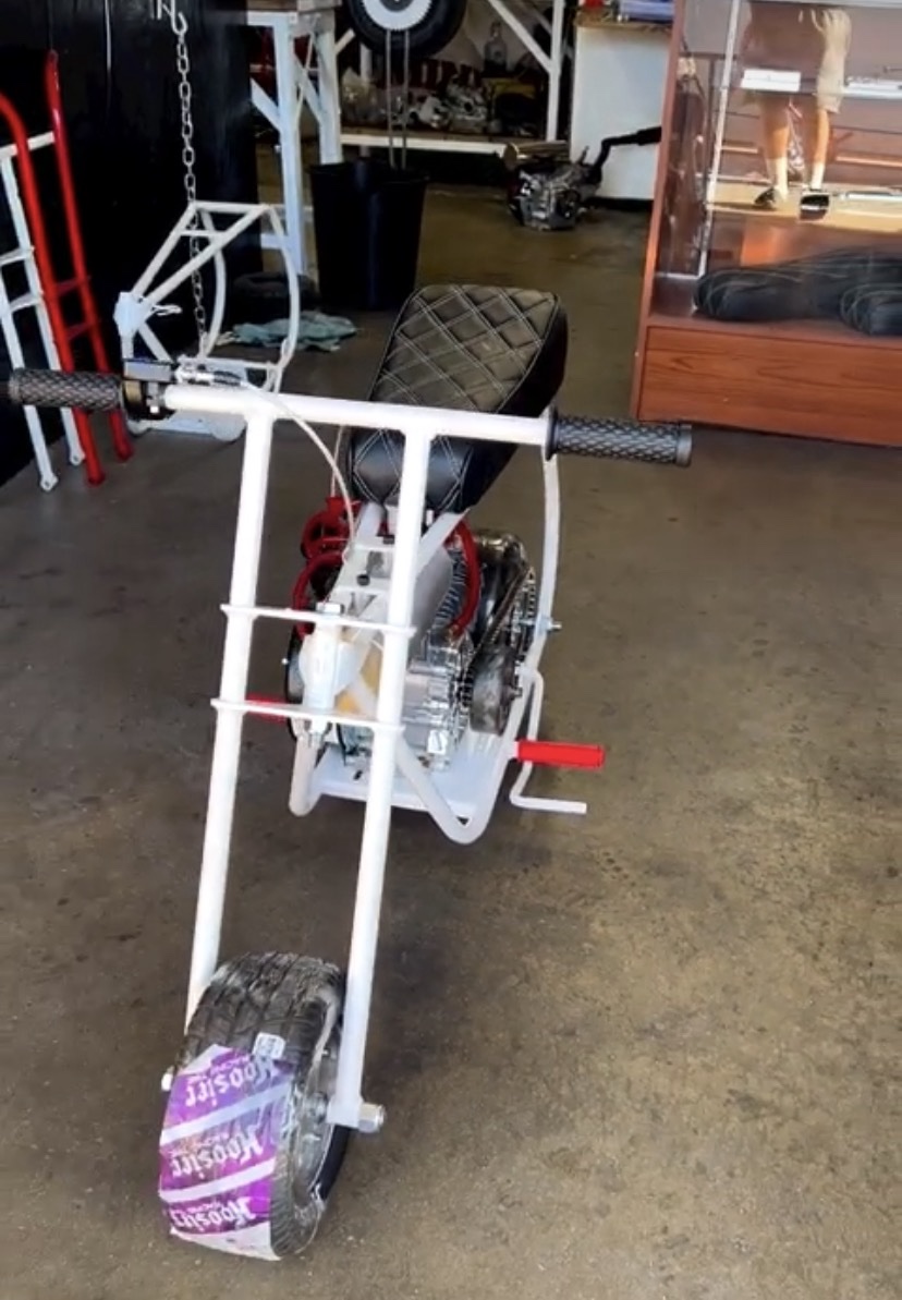 Volts White Diamond Custom Minibike
